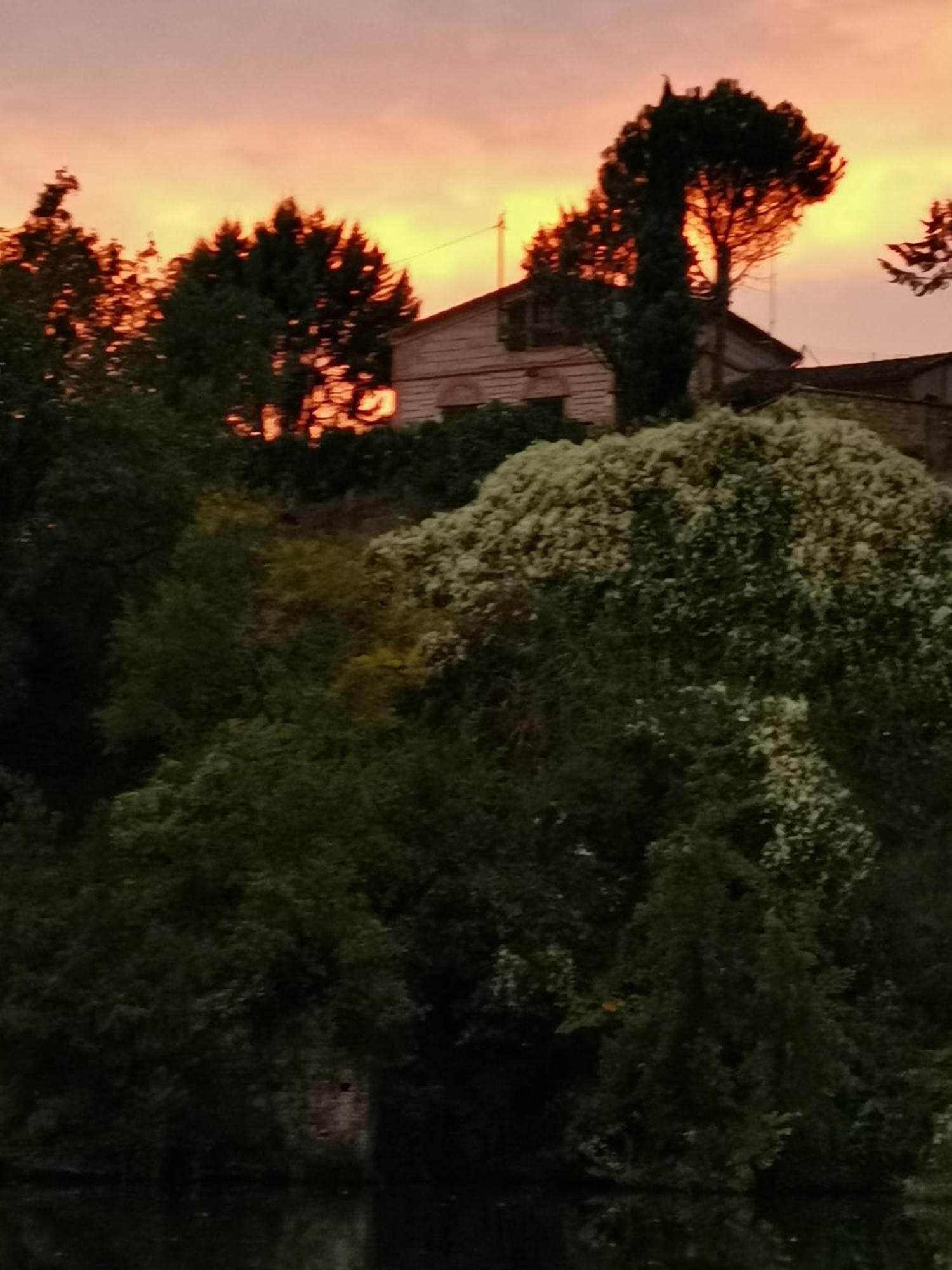 La Planque De L'Eclusier Villa Castelnau-de-Levis Bagian luar foto